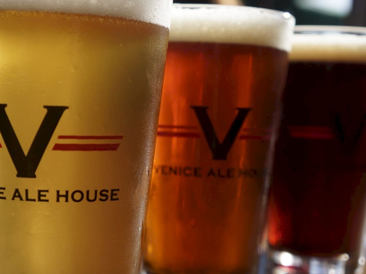 Four glasses of beer from Venice Ale House, each with a v-logo, arranged in a row showcasing different colors and types on a wooden table.