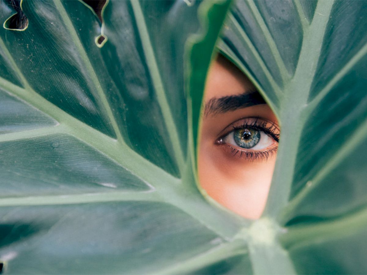 A close-up of a green leaf with a hole in it reveals one eye of a person peeking through.