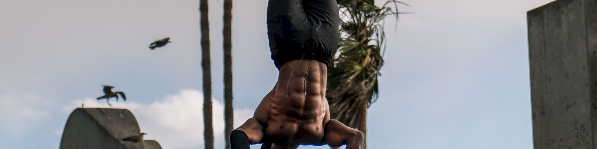 A person is performing a handstand on outdoor gym equipment, with palm trees and a cloudy sky in the background.