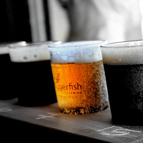 Four glasses of beer in a row, with different colors and foam levels, placed on a wooden surface.